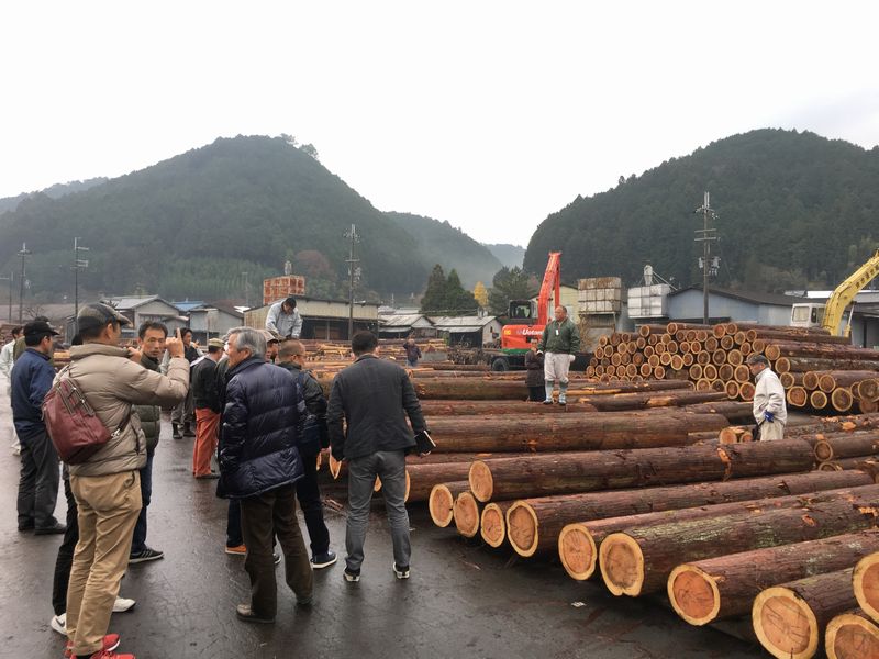 森林ツアーへ行ってきました。