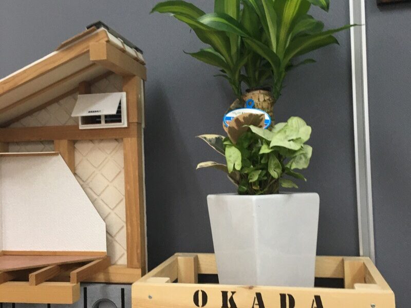 お心配りに感謝感謝です。