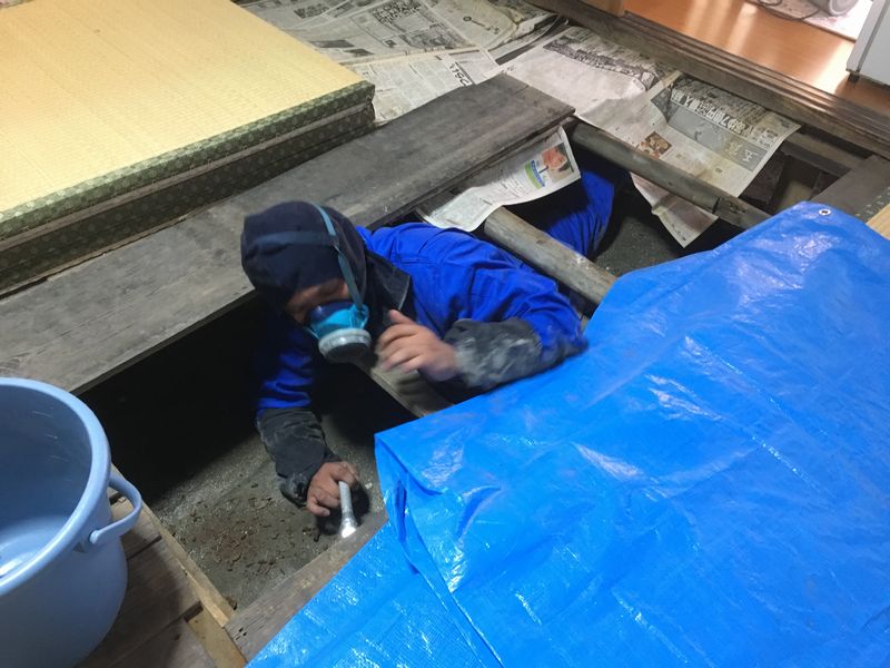 ファイル 2017-shiroarisankou