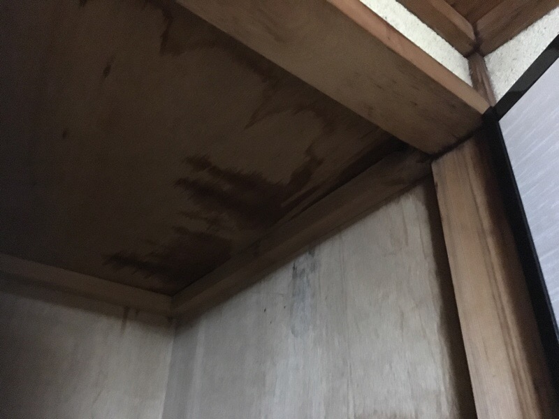 台風21号の影響