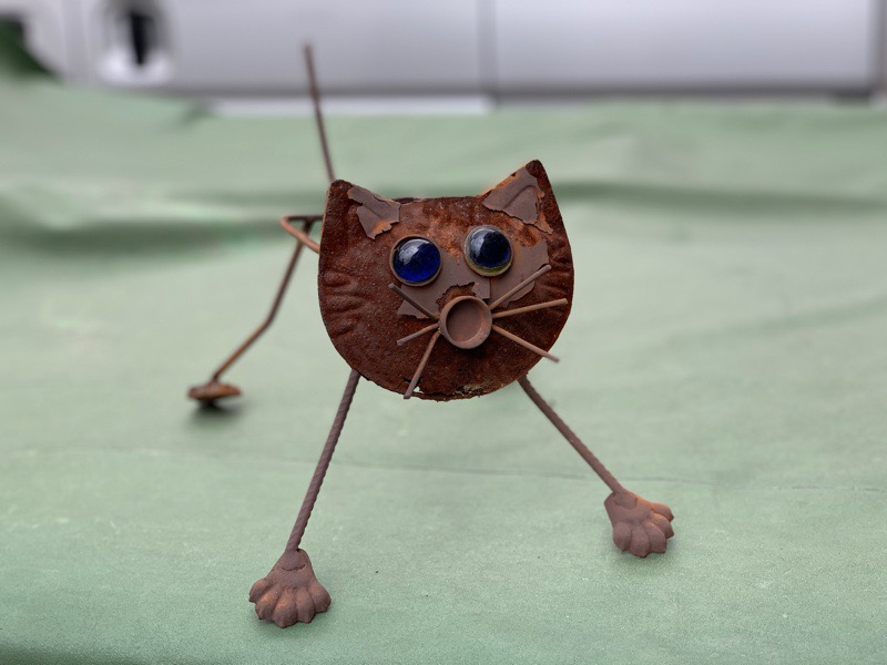 保護猫カフェへ　ヒントを探しに