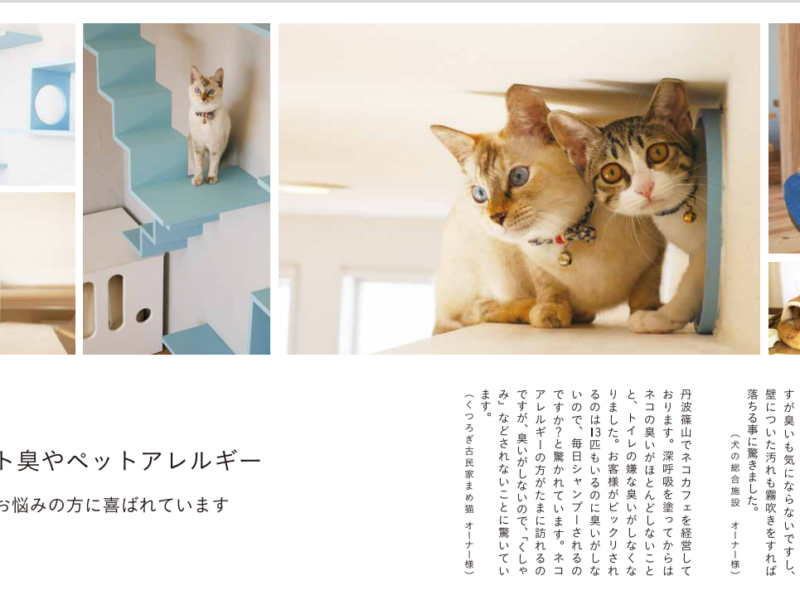 「深呼吸」　～素敵な塗り壁材を発見～