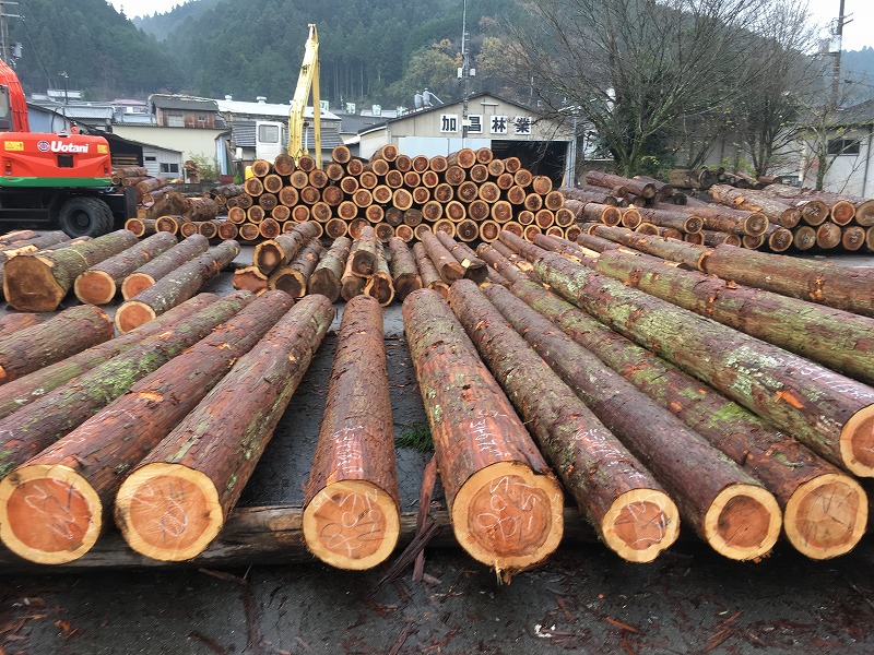 ウッドショック